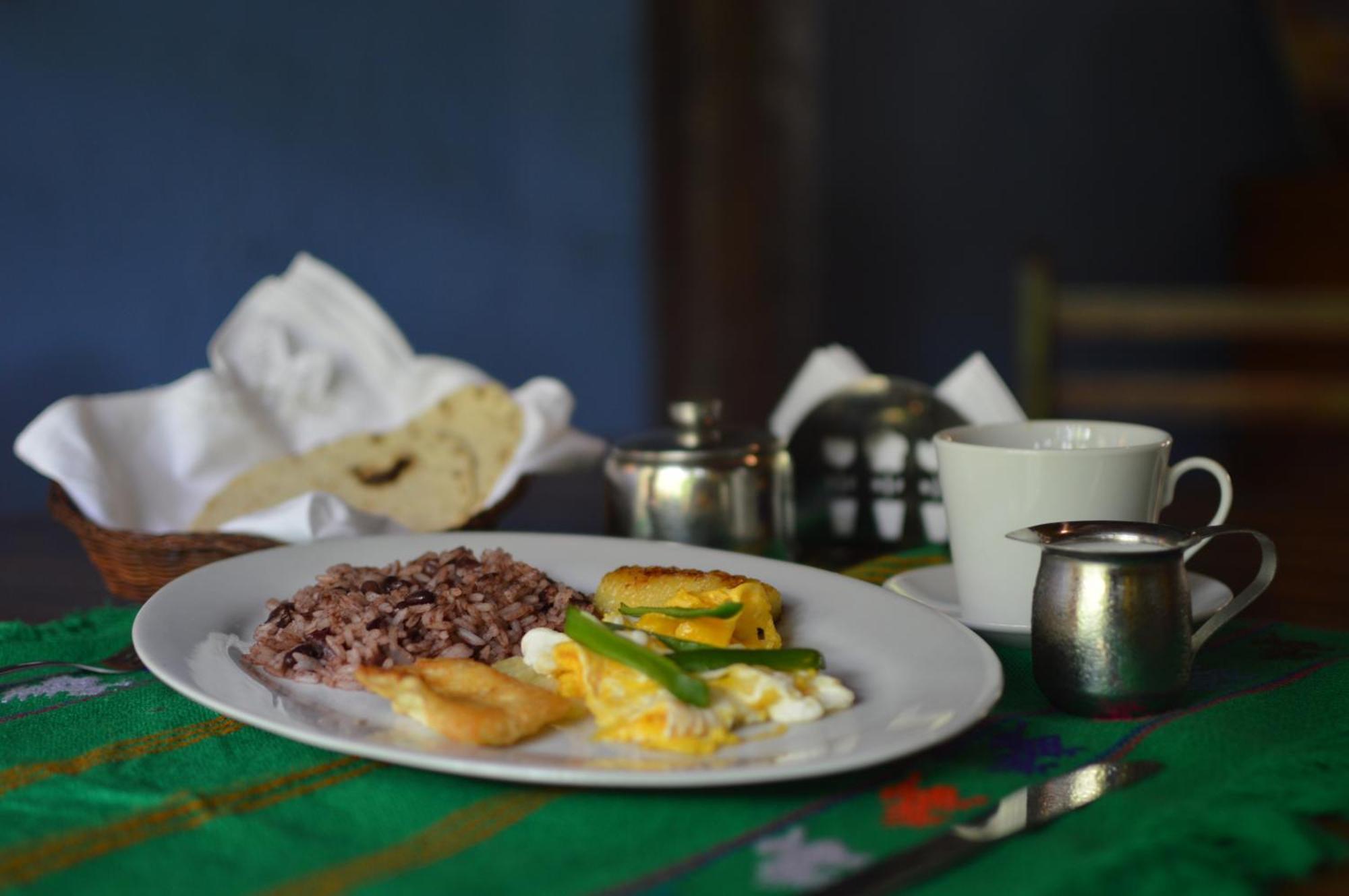 Hostal Fuente Castalia, B Y B Леон Екстер'єр фото